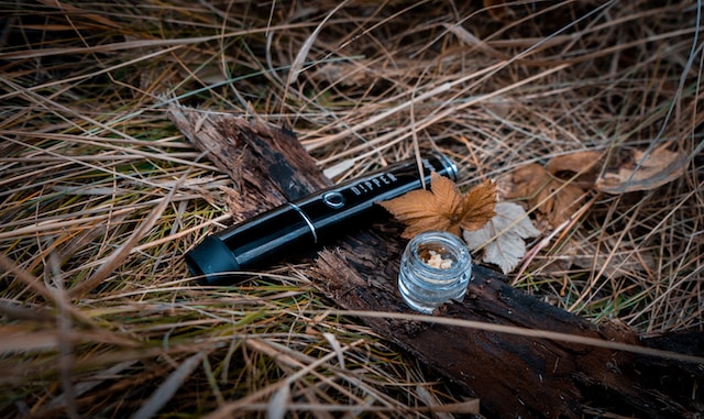 Why Dry Herb Vaporizers Are a Great Alternative for Smoking Cannabis
