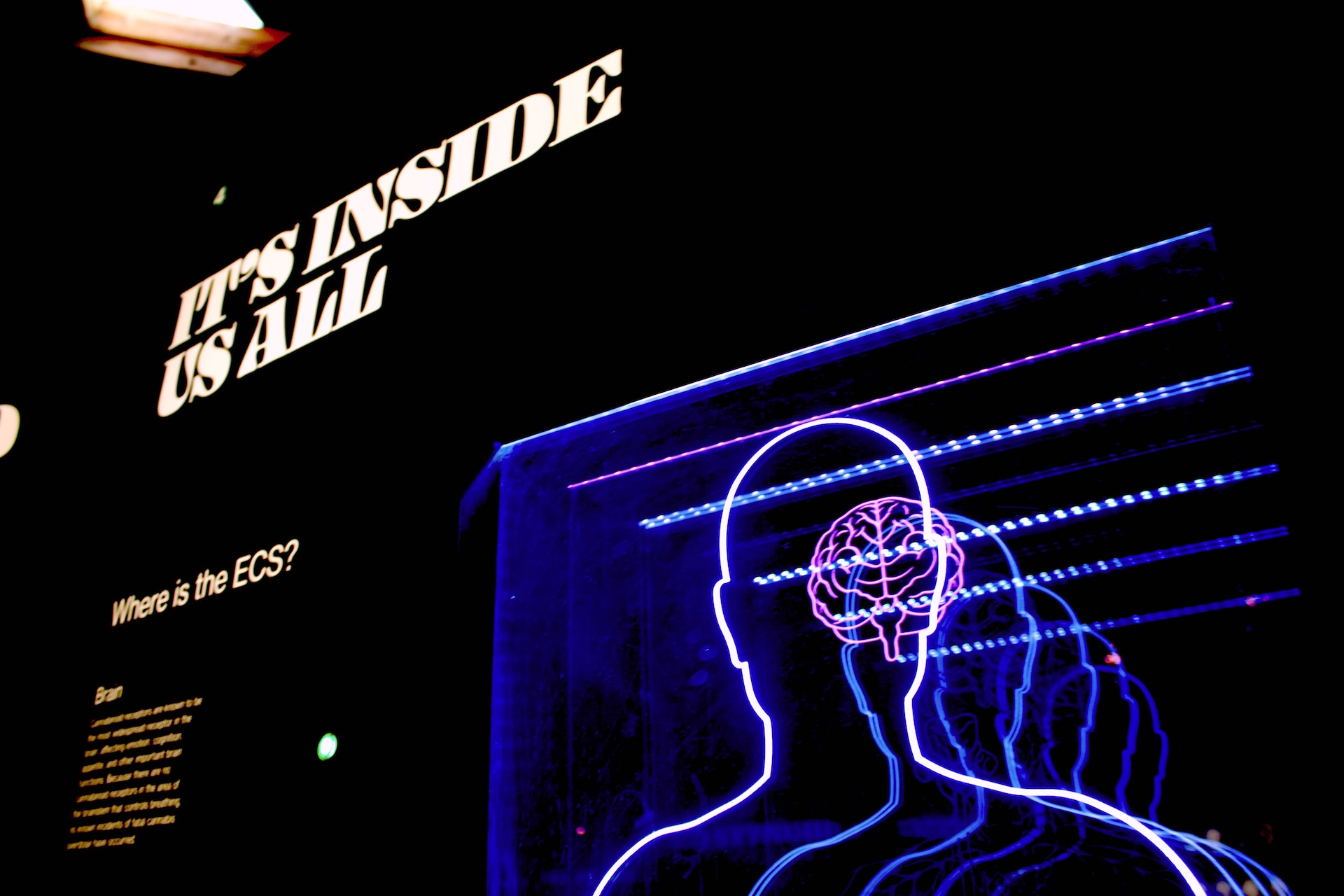 What transpersonal psychology is based on